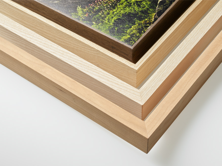 Bilderrahmen-Einrahmung-Foto eingerahmt